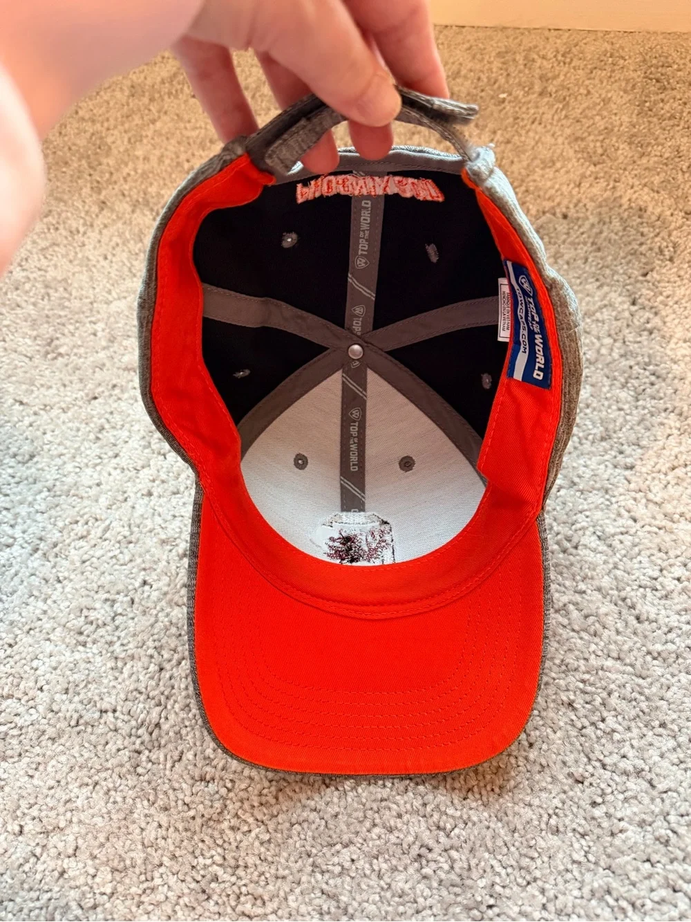 South Carolina Gamecocks baseball hat